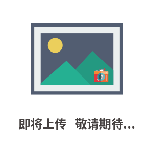 *YLX.BH-250×100FC���͹�����
